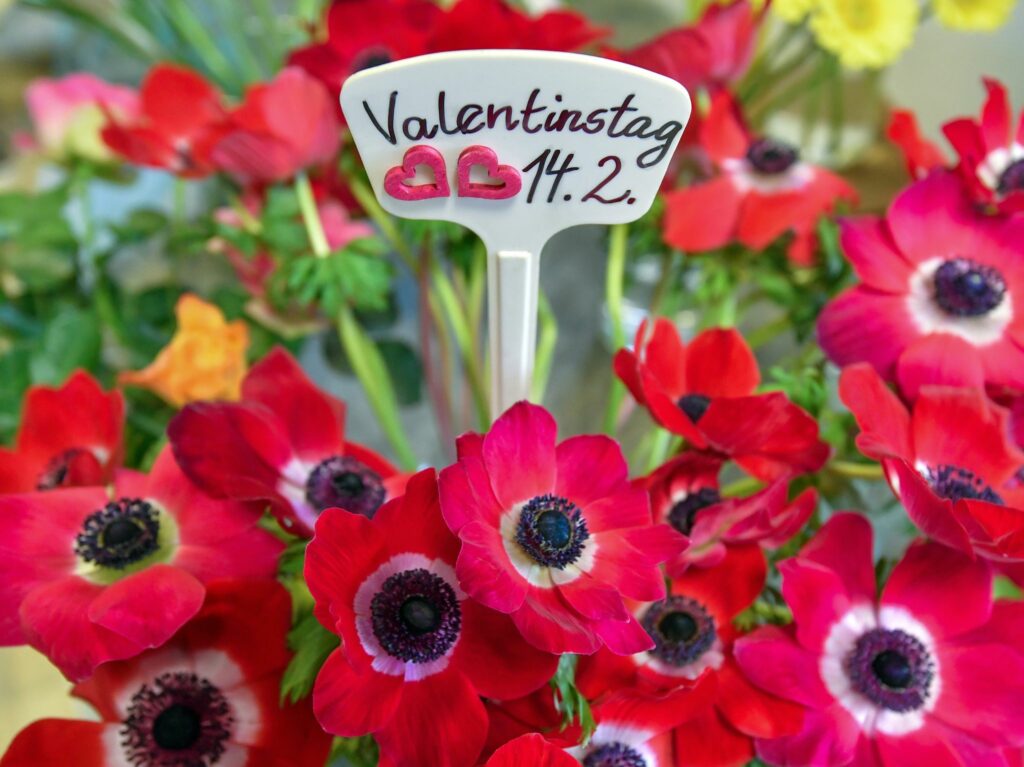 Verbraucher sind am Valentinstag in Verwöhnlaune