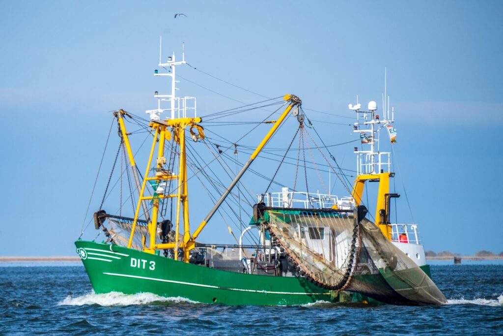Lemke: Schweinswale und Seevögel in keinem gutem Zustand