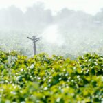 Dürren: Landwirte müssen vermehrt für Wasser zahlen