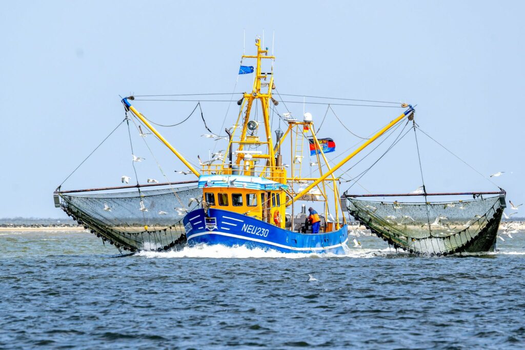 Verband: Fischereibranche steckt weiter in der Krise