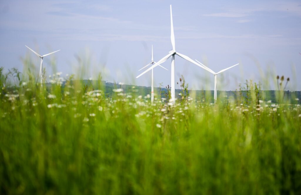 Erneuerbare in der EU werden deutlich ausgebaut