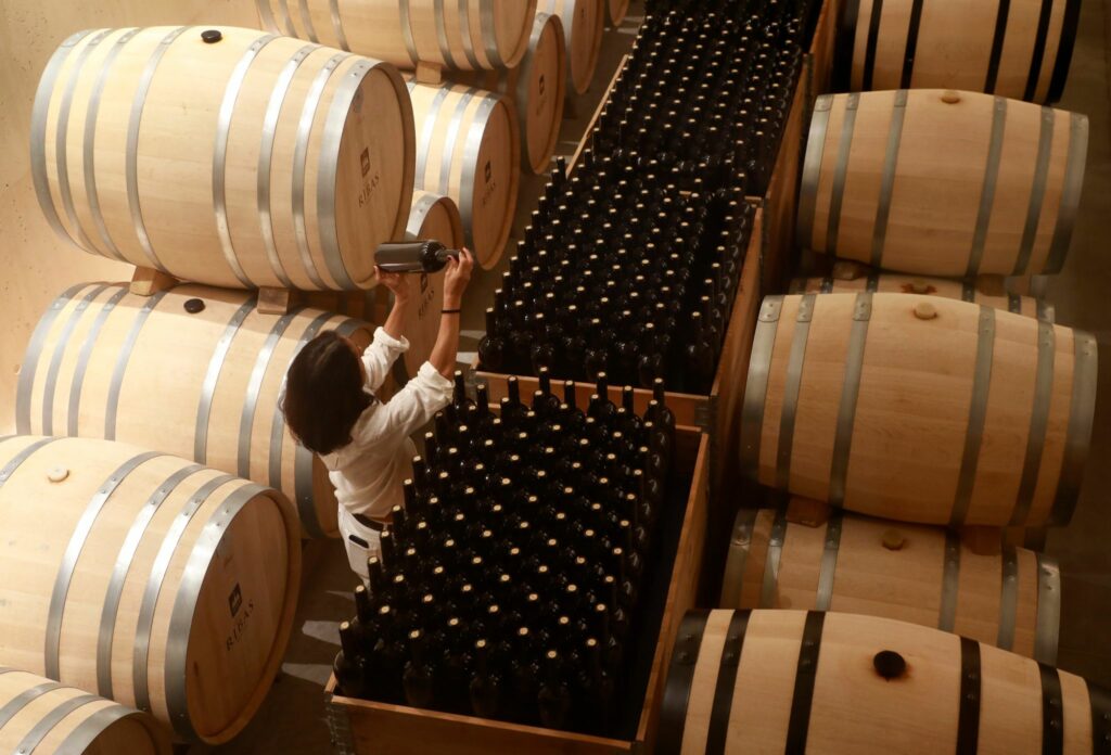 Sehr niedrige weltweite Weinproduktion erwartet