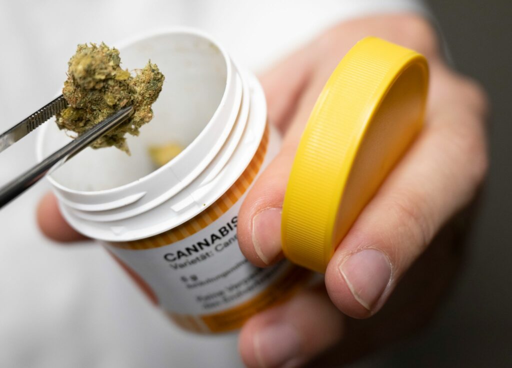 Legalisierung light bringt Cannabis-Firmen in Bedrängnis