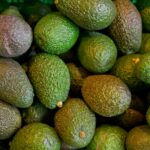 Umstrittene Superfrucht – Avocado-Boom in Deutschland