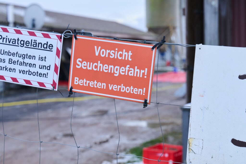 Deutschland frei von Maul- und Klauenseuche – Sperrzone weg
