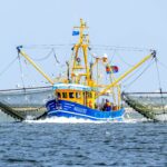 EU-Gericht nickt Fangverbote in der Nordsee ab