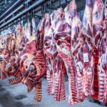 Zahl der Schweineschlachtungen wieder leicht gestiegen