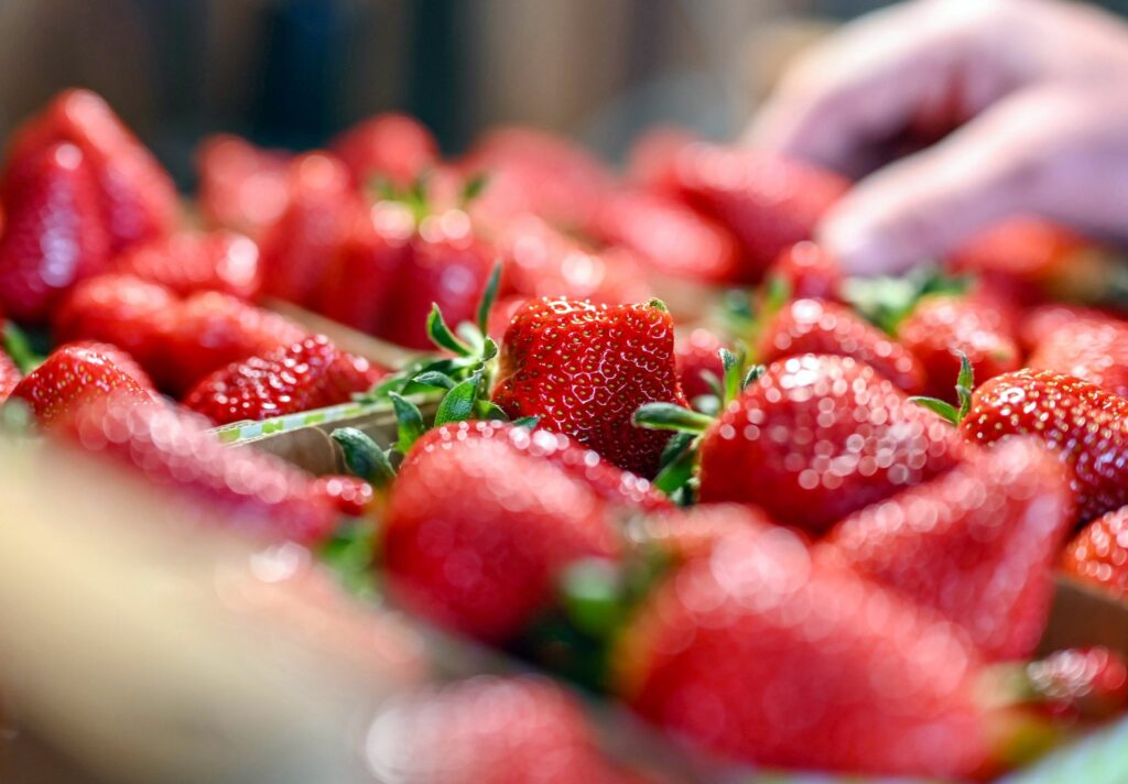 Erdbeeren zu Saison-Tiefpreisen – so viel kostet die Schale